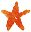 orange_star